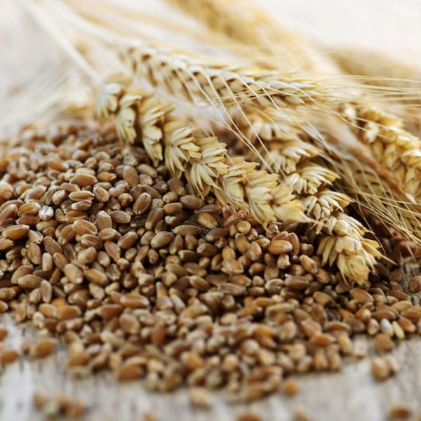 Health Benefits of Wheat Bran