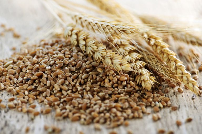 Health Benefits of Wheat Bran