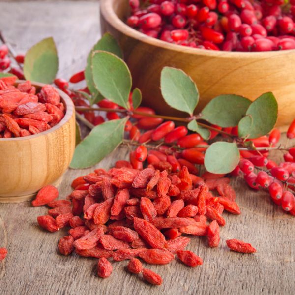 Start Eating Goji Berry