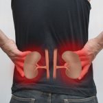 Simple Ways to Cleanse Your Kidneys