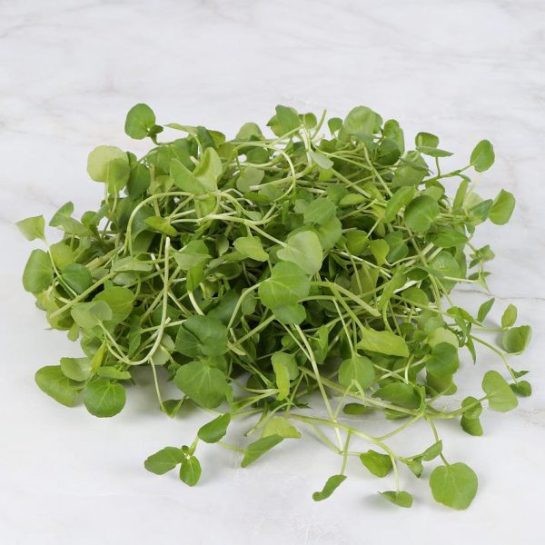 Watercress Benefits
