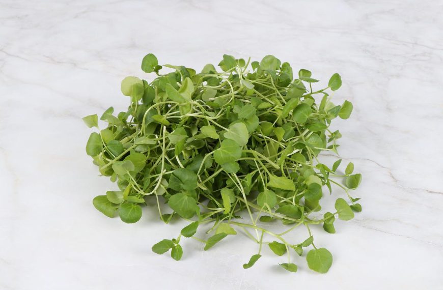 10 Amazing Watercress Benefits in Your Body